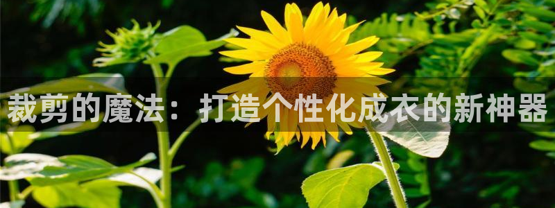 天辰娱乐22650
