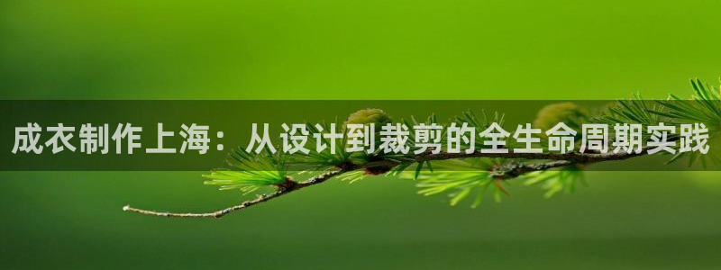 天辰娱乐登陆平台