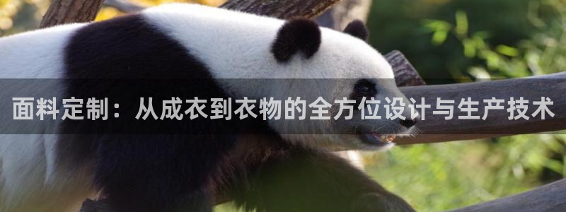 天辰娱乐官方登录下载