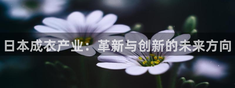 天辰娱乐平台地址在哪里
