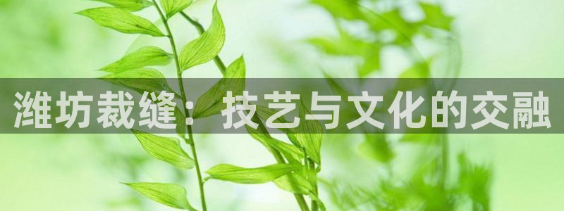 天辰娱乐best