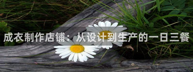 天辰娱乐 231639