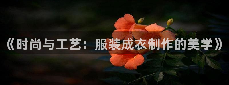 天辰娱乐招商