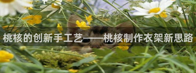 天富娱乐与天辰娱乐