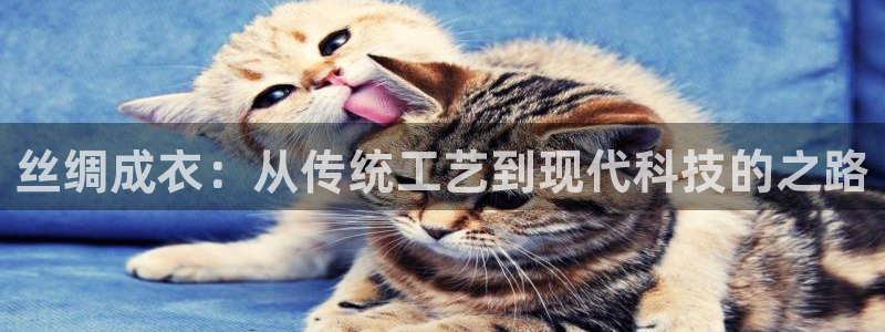 天辰娱乐登陆平台