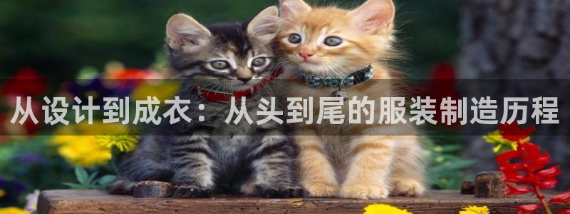 天辰娱乐app