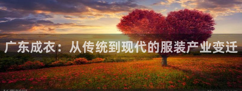 天辰娱乐白屏