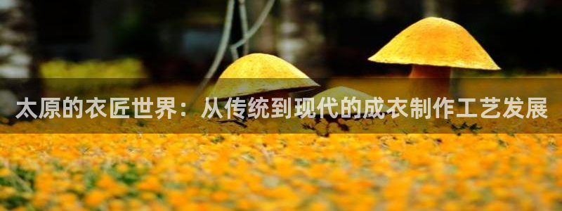 天辰娱乐国际