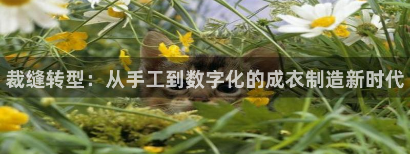 天辰娱乐APP下载
